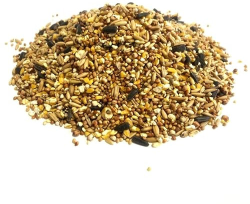 Everyday Mixture 5kg Premium Wild Bird Food Garden Seed Feed