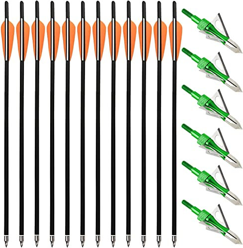 PMSM 12 Stück Carbon Armbrustbolzen 20 Zoll Armbrustpfeile und 6 Stück Armbrust Jagdspitzen kit,Armbrust Carbonpfeile für Jagd und Zielbogenschießen Schießen (20 Zoll Orange und Grün)