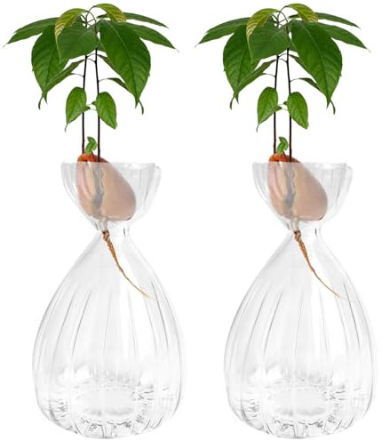 Lot de 2 vases en verre pour démarrage de germes d'avocat, style rayé pour la maison, la table, le bureau, la décoration intérieure (2 transparents)