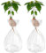 Lot de 2 vases en verre pour démarrage de germes d'avocat, style rayé pour la maison, la table, le bureau, la décoration intérieure (2 transparents)
