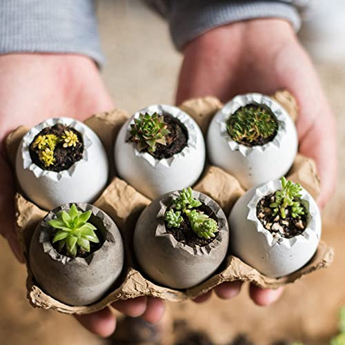 Somerway Mini-Eierschalen-Sukkulenten-Pflanzgefäße, 6 kleine Blumentöpfe mit Tablett, dekorativer Keramik-Blumentopf, Eier-Bonsai-Pflanzgefäß für Tisch-Schreibtisch-Dekoration A