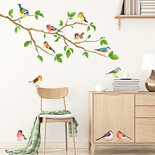 DECOWALL DS-8036 Gartenvögel Wandtattoo Wandsticker Wandaufkleber Wanddeko für Wohnzimmer Schlafzimmer Kinderzimmer(Klein)