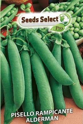Semi di Pisello Rampicante Alderman,SCATOLA GR 500