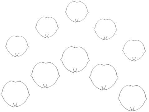 QUMIIRITY 10 Stücke Downlight Frühling Clips Robust Lampe Grip Für Leuchten