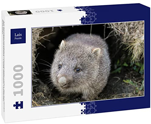 Lais Puzzle Ein Wombat (Vombatus Ursinus)-Baby (Joey), das aus seinem BAU im Grasland kommt - Cradle Mountain, Tasmanien Australien 1000 Teile