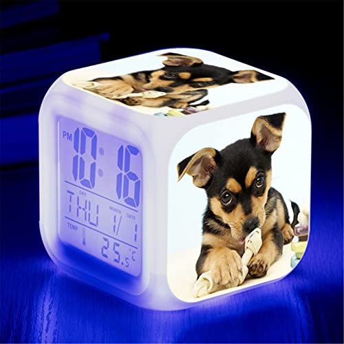 Martin Kench Wecker Digital mit LED, Wecker Kinder Junge Mädchen Geschenk, Nachtlicht, Snooze, Batteriebetriebene Weckuhr (E), 80 x 80 x 80 mm