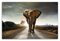 Wallario Frühstücksbrettchen aus Glas, Glasunterlage, Glasbrettchen Elefant bei Sonnenaufgang in Afrika, Größe 20 x 30 cm, Sicherheitsglas