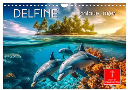 Delfine - schlaue Jäger (Wandkalender 2026 DIN A4 quer), CALVENDO Monatskalender: Intelligent und sprungstark. (CALVENDO Tiere)