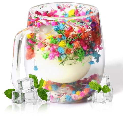 RUIOMII 370ml Double Wall Glass Dried Flower Mug, Cute Coffee Mugs with Handle, Insulated Coffee Cup Birthday Gifts for Mum Girlfriend Teacher