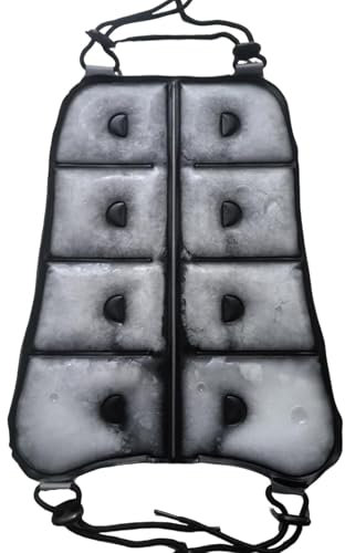 KiBcsLic Kühlkissen für den Rücken, ergonomisches Kühlkissen für den Rucksack, zum Klettern, Arbeiten im Freien