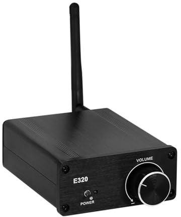 100W * 2 12V Tragbarer Bluetooth-Tisch-HiFi-Mini-Standard-Profi-Digitalverstärker der Klasse D