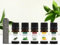 Indispensables au Travail - Huiles Essentielles BIO + Inhalateur