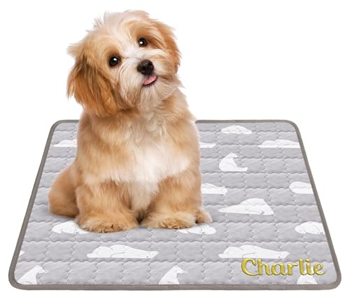 NIBESSER Personalisierte Kühlmatte für Hunde Pet Dog Cooling Mat Sommer maßgeschneiderte Name Selbstkühlende Matte Hunde Katzen Haustier Kühlmatte Natürlich