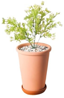 IOEDHW Paquet de 1/3 jardinières en terre cuite, pot de plante rond en terre cuite haut et mince, pot de fleur en terre cuite intérieur et extérieur avec trous de drainage et plateau pour la plantatio