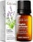 Gya Labs English Lavender Essential Oil for Diffuser - 100% Pure Natural English Lavender Oil for Skin, Hair & Candle Making Floral Scent (10ml)
