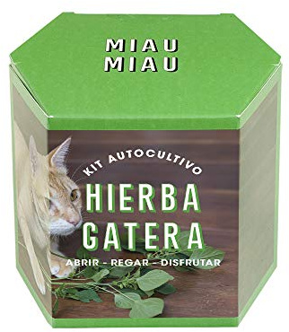 Kit d'auto-culture Herbe à chat