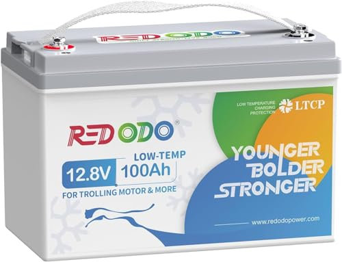 Redodo 12V 100Ah Low Temp Batterie Lithium,Batterie LiFePO4 avec 100A BMS et 4000-15000 Cycles,pour Moteur Trolling, Camping-Car,Système Solaire, Kit Panneau Solaire