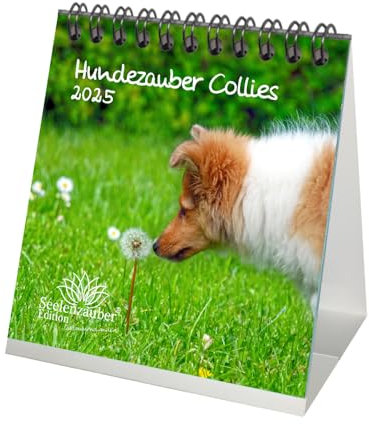 Hundezauber Collie Kalender für 2025 Format 10cm x 10cm Welpen und Hunde - Seelenzauber