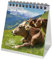 Kuhzauber Kalender für 2025 Format 10cm x 10cm Kuh Kühe Rind Bauernhof - Seelenzauber