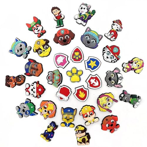 Acuiwer Shoe Charms Adornos de Zapatos 30 PCS PVC Encantos Cristal Clog Adornos para Zapatos para Niñas Mujeres Niños (H-D-30)
