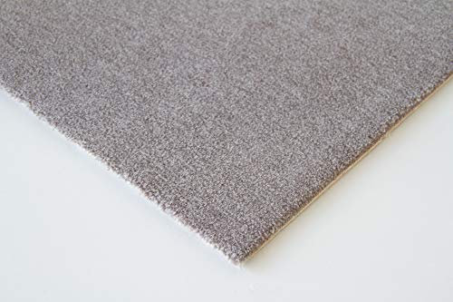 Steffensmeier Velours Teppichboden Venezia Meterware | Auslegware für Kinderzimmer Wohnzimmer Schlafzimmer | Grau, Größe: 200x500 cm