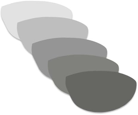 Generisch Ersatzgläser Größe L für Adidas Evil Eye A266, Pro A126 und Explorer A134 (Vario + Antifog)