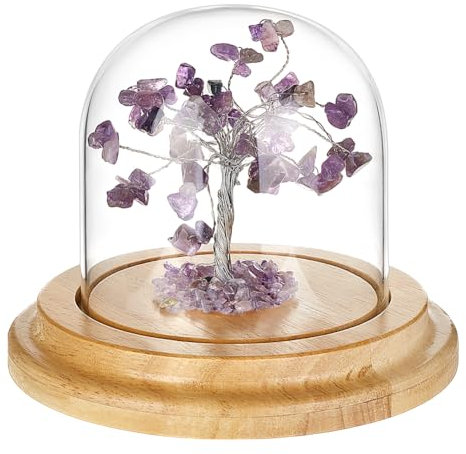 PH PandaHall 10cm X 10cm Cloche Dôme en Verre Cloche en Verre Transparente avec Bases en Bois chêne pour Décoration de Table Centre de Table pour Boules à Neige Fleurs Plantes Noël