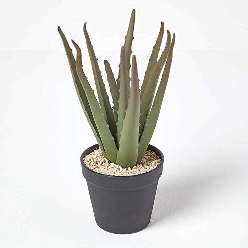HOMESCAPES Pequeña planta de aloe vera artificial en maceta en maceta redonda de plástico negro, cactus sintético realista de 30 cm de alto para decoración de interiores
