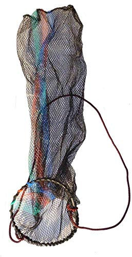 Retino Porta Pesci Pesca Sub Subacquea Cestino Rete 1245920