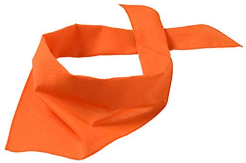Druckecke Hundehalstuch mit Pfoten und Wunschname Bestickt | 18 Farben (Orange)