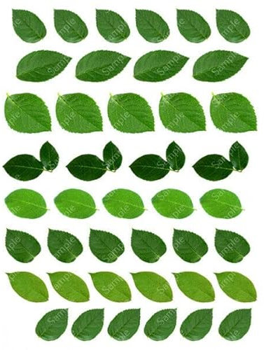 42 x Pre-Cut Rose Leaf Edible Wafer Cupcake Toppers Cake Decoration