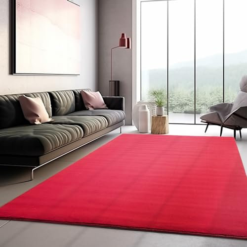 Teppich Wohnzimmer Schlafzimmer Esszimmer Läufer Flur Flauschiger Teppich Waschbar rutschfest Soft Weich Carpet Kurzflor Größen, Rot, 60 x 110 cm