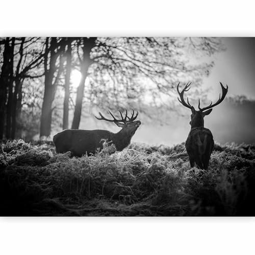 murando PREMIUM Papier peint Cerf Animaux 350x256 cm Décoration Murale XXL Poster Tableaux Muraux Tapisserie Photo Trompe l'oeil Foret Paysage Nature g-B-0153-a-a