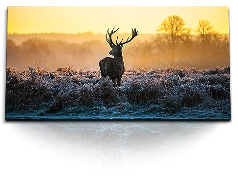 Paul Sinus Kunstdruck Bilder 120x60cm Natur Hirsch Hirschgeweih Abendrot Sonnenuntergang
