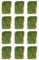 ACAN Tradineur - Pack de 12 Bolsas de Musgo navideño Decorativo para belén, Adornos, Detalles para Nacimiento, Pesebre, 30 Gramos
