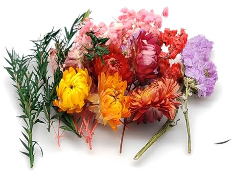 Zeayebsr 1un paquet Fleurs Séchées, fleurs stabilisées,Fleurs Sechees Naturelles Vraies Fleurs Pressées Séchées Decoration pour Scrapbooking Bougie Bricolage Résine Époxy Floral Fabrication Artisanale