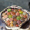Semi succulenti Piante grasse Piante vere Lithops Pietre viventi Lithops Piante ornamentali Semi Semi colorati di piante grasse Mini Piante grasse Vero 500 pezzi