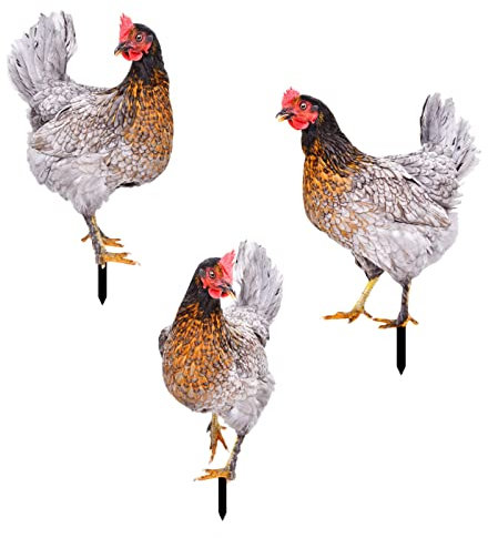 Dantazz Huhn Familie Gartendeko Lebensecht Hähnen und Hühner Gartenstecker Handarbeit Henne Gartenstatue Dekorative Acryl Gartenhuhn Tierfigur Gartenschmuck für Außen Rasen Yard (3PC, OneSize)