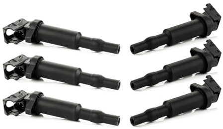 LST 6x Zündspule Zündmodul Zündeinheit kompatibel mit BMW 1er 2er 3er 4er 5er 6er 7er X1 X3 X5 X6 Z3 Z4 2.2 2.5 3.0 3.2
