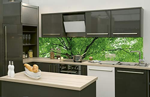 Dimex Küchenrückwand Folie selbstklebend BAUMKRONE | Klebefolie - Dekofolie - Spritzschutz für Küche | Made in EU - 260 cm x 60 cm