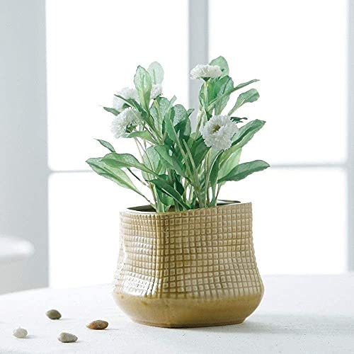 Blumentopf-Dekoration, Blumentöpfe, Behälter, Wand, Fenster, Gang, Treppen, Schlafzimmer, Haushalt, Blumenbehälter, Pflanzgefäß