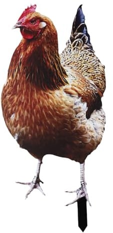 EasyByMall Garten-Geflügel für Skulptur, geistige Statue für den Garten, Huhn, Einsatz für Skulptur, Ornament für Außendekoration, Bauernhaus-Dekoration (15,20 x 0,30 x 33 cm)