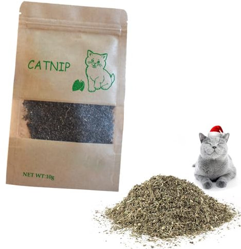 MagiSel Herbe A Chat, Cataire pour Chats, A Utiliser comme encas ou Jouet pour Le Chat, Herbe à Chat Naturelle de qualité supérieure - Plante d'herbes à Chat et Chaton délicatement séchée