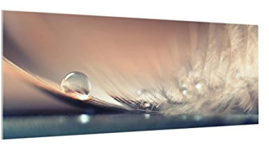 Bilderwelten Paraschizzi in Vetro - Story of A Water Drop - Panoramico,Paraschizzi Cucina Pannello paraschizzi Cucina paraspruzzi per Piano Cottura Pannello per Parete, Misura (AxL): 50cm x 125cm