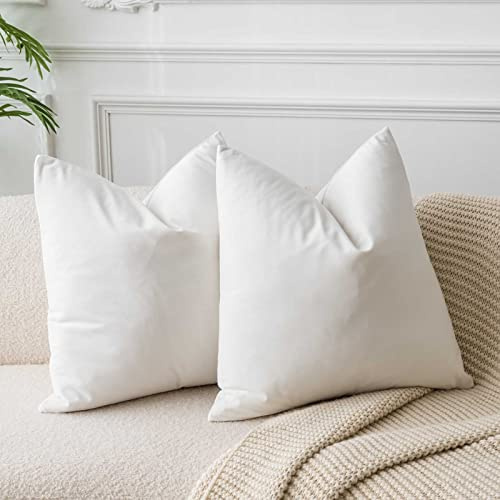 JUSPURBET Cream White Decorative Velvet Throw Pillow Covers 20x20 Inches Set of 2,Luxury Solid Soft Pillow Covers for Sofa Couch Bed
