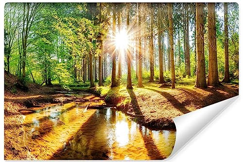 Muralo - Fototapete 3d Effekt - Selbstklebende Tapete 3d - Tapeten für Wohnzimmer Schlafzimmer - Fototapete Wald bei Tagesanbruch selbstklebend - Br. 135cm x Hö. 90cm
