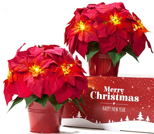 HOMESEASONS 2 Pack Christmas Decorations Pre-Lit Artificial Poinsettia Plant - LED Lighted Faux Poinsettia Flowers(Red,10inch)