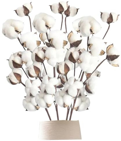 Generisch Baumwollstiele,4 Stück,53,3 cm,Baumwollblumen,künstliche,realistische Baumwollzweige,10 Baumwollköpfe,Baumwollpflanzen-Dekoration für Zuhause,Hochzeit,Bauernhaus