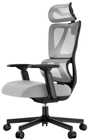 ProtoArc EC100 Ergonomic Office Chair – Computer Desk Chair for Work with 10cm Thicker Spring Cushion, Lumbar Support, Adjustable Armrest & Headrest, Swivel Mesh Chair for Home Office, Grey