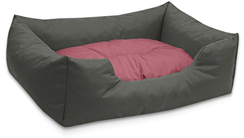 BedDog Hundebett Mimi, Hundesofa aus Cordura, Microfaser-Velours, waschbares Hundebett Vier-eckig mit Rand, Hundekissen für drinnen, draußen, M, grau-Rose